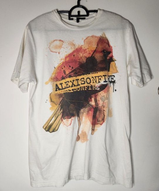 Decoding Quality: What to Look for in Alexisonfire Merchandise